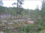 Sweden 2006-04 152